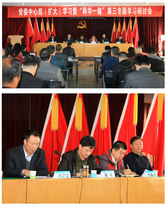 集團(tuán)公司黨委組織召開(kāi)中心組(擴(kuò)大)學(xué)習(xí)暨“兩學(xué)一做”第三專題學(xué)習(xí)研討會(huì)