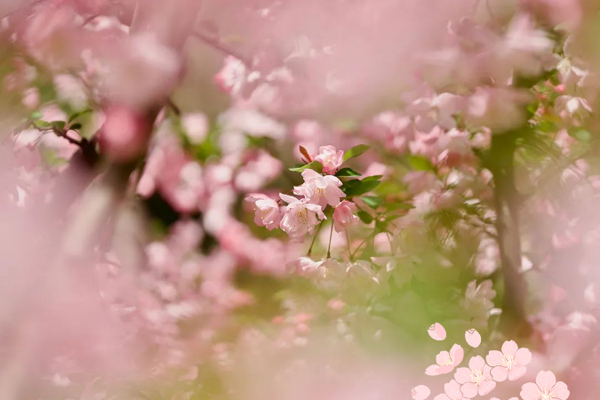 做有心青年   大聲說(shuō)出愛(ài)